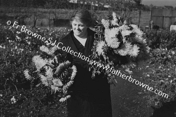 CHRYSANTHEMUM GROWERS